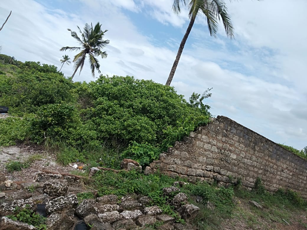 WhatsApp Image 2022-05-05 at 4.09.02 PM.jpeg